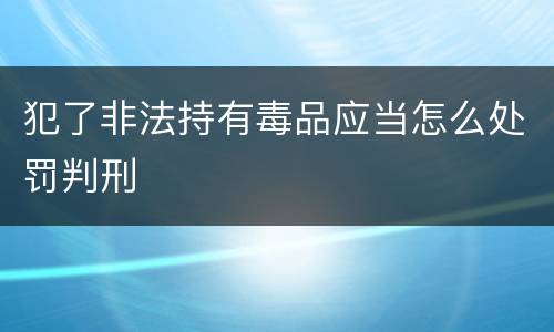 犯了非法持有毒品应当怎么处罚判刑
