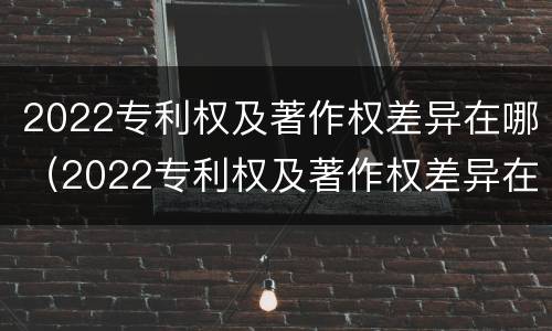 2022专利权及著作权差异在哪（2022专利权及著作权差异在哪查询）