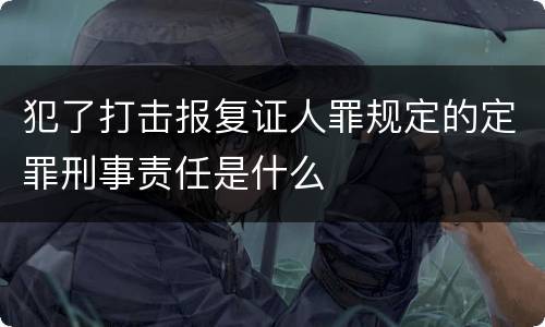 犯了打击报复证人罪规定的定罪刑事责任是什么