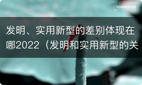发明、实用新型的差别体现在哪2022（发明和实用新型的关系）