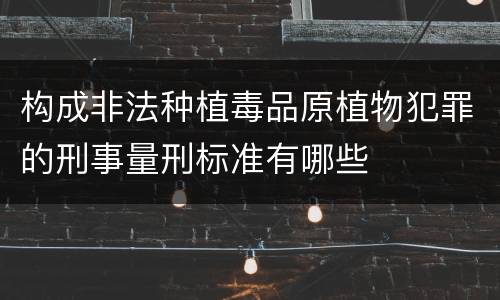 构成非法种植毒品原植物犯罪的刑事量刑标准有哪些