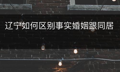 辽宁如何区别事实婚姻跟同居
