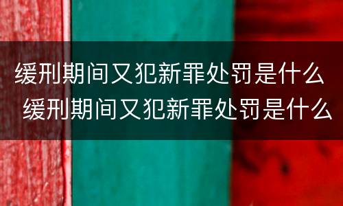 缓刑期间又犯新罪处罚是什么 缓刑期间又犯新罪处罚是什么标准