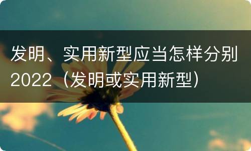 发明、实用新型应当怎样分别2022（发明或实用新型）