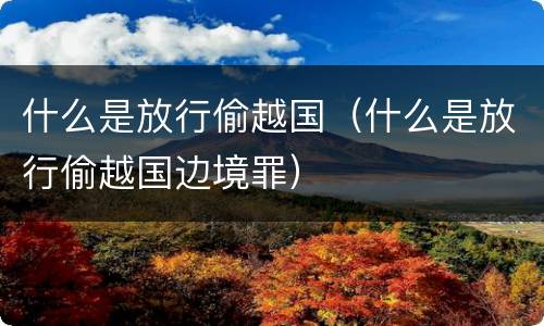 什么是放行偷越国（什么是放行偷越国边境罪）