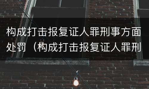构成打击报复证人罪刑事方面处罚（构成打击报复证人罪刑事方面处罚标准）