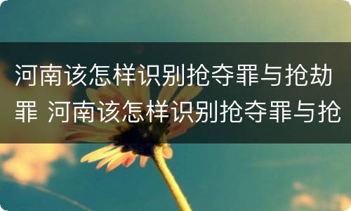 河南该怎样识别抢夺罪与抢劫罪 河南该怎样识别抢夺罪与抢劫罪的区别
