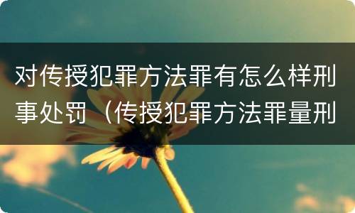 对传授犯罪方法罪有怎么样刑事处罚（传授犯罪方法罪量刑）