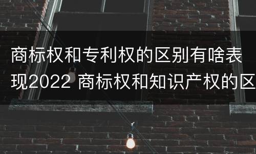 商标权和专利权的区别有啥表现2022 商标权和知识产权的区别