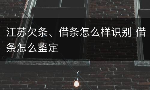 江苏欠条、借条怎么样识别 借条怎么鉴定