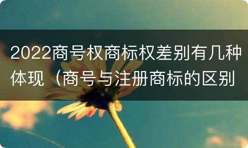 2022商号权商标权差别有几种体现（商号与注册商标的区别）