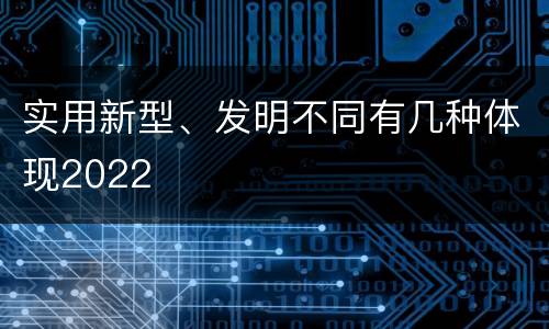 实用新型、发明不同有几种体现2022