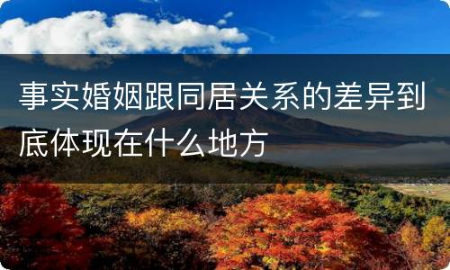 事实婚姻跟同居关系的差异到底体现在什么地方