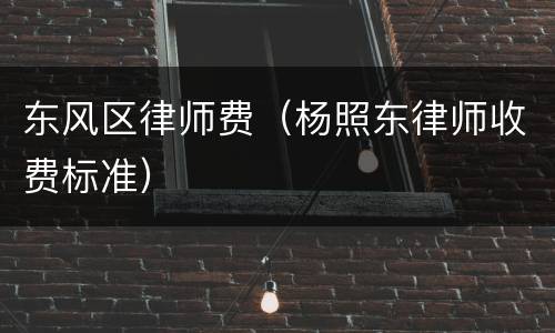 东风区律师费（杨照东律师收费标准）