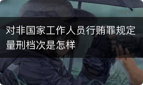 对非国家工作人员行贿罪规定量刑档次是怎样