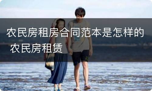 农民房租房合同范本是怎样的 农民房租赁