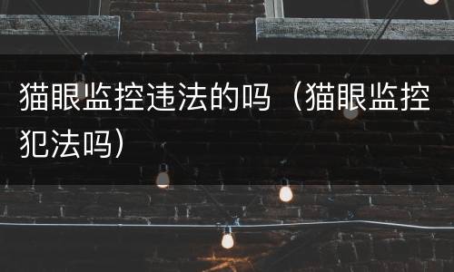 猫眼监控违法的吗（猫眼监控犯法吗）