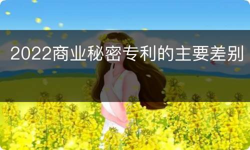 2022商业秘密专利的主要差别