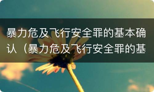 暴力危及飞行安全罪的基本确认（暴力危及飞行安全罪的基本确认条件）