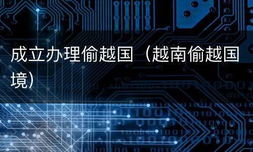 成立办理偷越国（越南偷越国境）