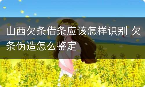 山西欠条借条应该怎样识别 欠条伪造怎么鉴定