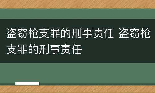 盗窃枪支罪的刑事责任 盗窃枪支罪的刑事责任