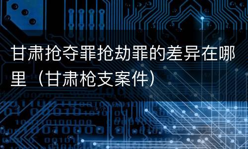 甘肃抢夺罪抢劫罪的差异在哪里（甘肃枪支案件）