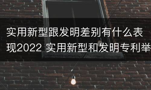 实用新型跟发明差别有什么表现2022 实用新型和发明专利举例