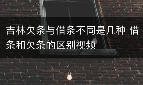 吉林欠条与借条不同是几种 借条和欠条的区别视频