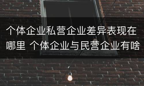 个体企业私营企业差异表现在哪里 个体企业与民营企业有啥不同