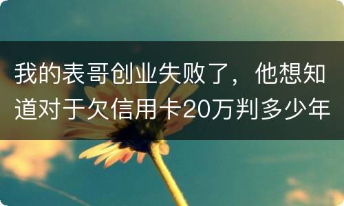 我的表哥创业失败了，他想知道对于欠信用卡20万判多少年