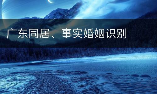 广东同居、事实婚姻识别
