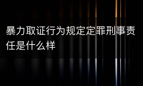 暴力取证行为规定定罪刑事责任是什么样