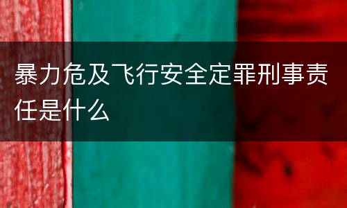 暴力危及飞行安全定罪刑事责任是什么