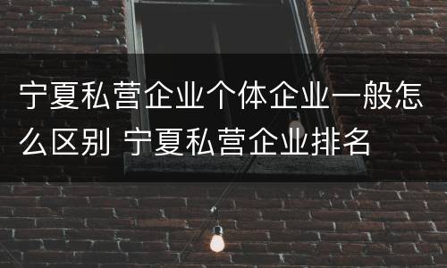 宁夏私营企业个体企业一般怎么区别 宁夏私营企业排名