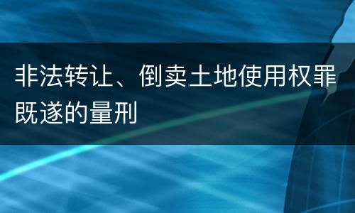 非法转让、倒卖土地使用权罪既遂的量刑
