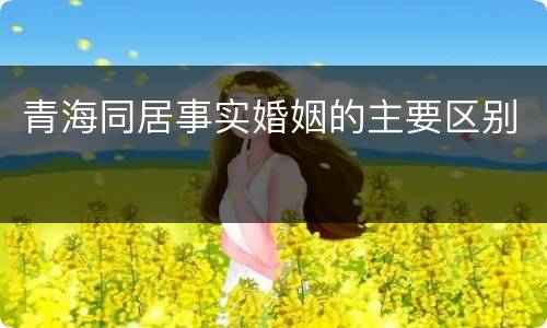 青海同居事实婚姻的主要区别