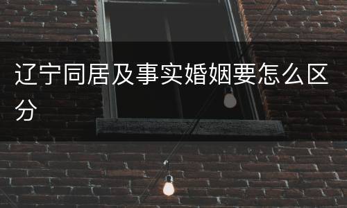 辽宁同居及事实婚姻要怎么区分