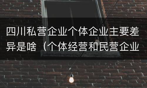 四川私营企业个体企业主要差异是啥（个体经营和民营企业的区别）