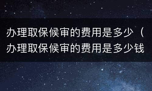 办理取保候审的费用是多少（办理取保候审的费用是多少钱）