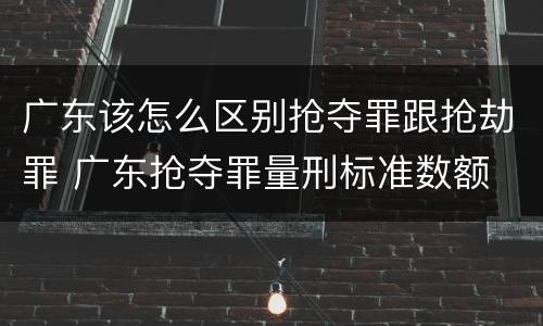 广东该怎么区别抢夺罪跟抢劫罪 广东抢夺罪量刑标准数额