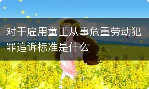 对于雇用童工从事危重劳动犯罪追诉标准是什么