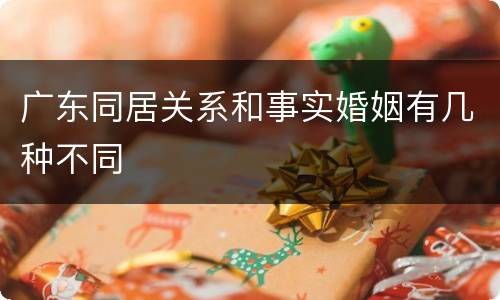 广东同居关系和事实婚姻有几种不同