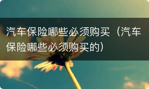 汽车保险哪些必须购买（汽车保险哪些必须购买的）