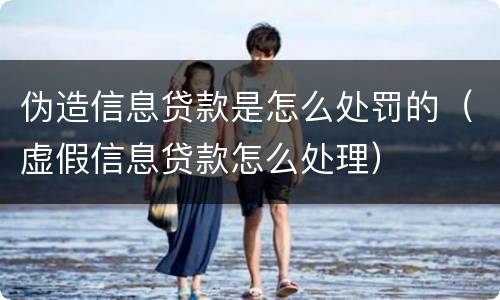 伪造信息贷款是怎么处罚的（虚假信息贷款怎么处理）