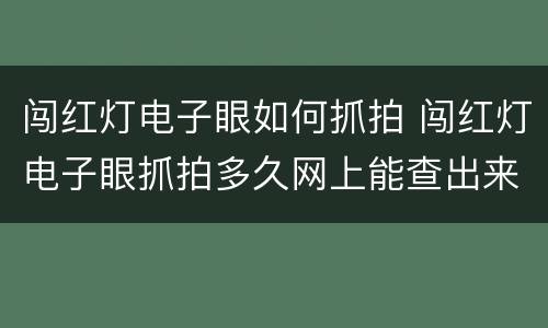 闯红灯电子眼如何抓拍 闯红灯电子眼抓拍多久网上能查出来