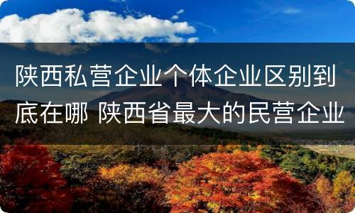 陕西私营企业个体企业区别到底在哪 陕西省最大的民营企业是什么公司