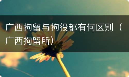 广西拘留与拘役都有何区别(广西拘留所)