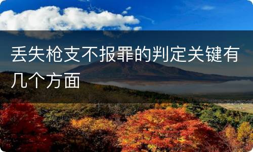 丢失枪支不报罪的判定关键有几个方面
