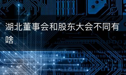 湖北董事会和股东大会不同有啥